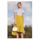 ladies fashion skirt